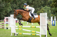 R2 Class 23  Horseland Midland 90cm