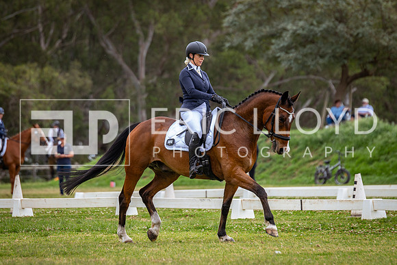 IMGP6291