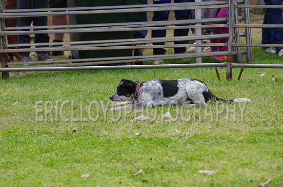 Jess-4089