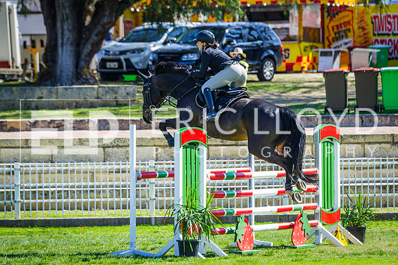 IMGP6423
