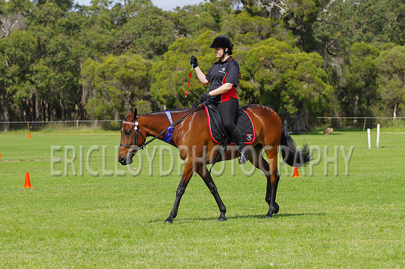 ARCA WH 2014-6614