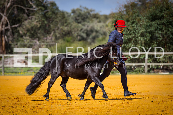 untitled-1206