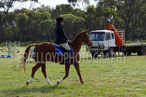 Bev Ag 2014-5071