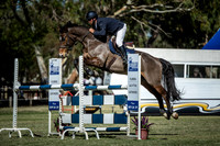 14.1 Hygain 1.20m Open