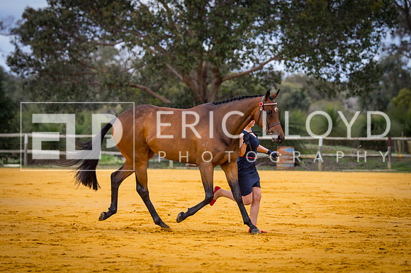 untitled-0506-2