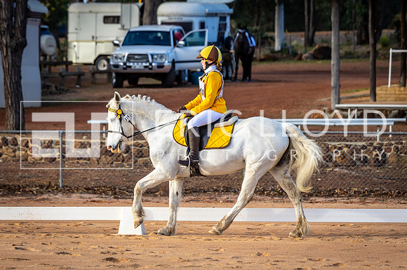IMGP2019