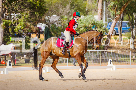 ROYL9705