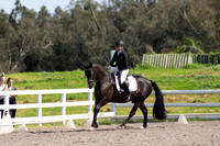 IMEL0005