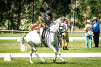 IMGP8335