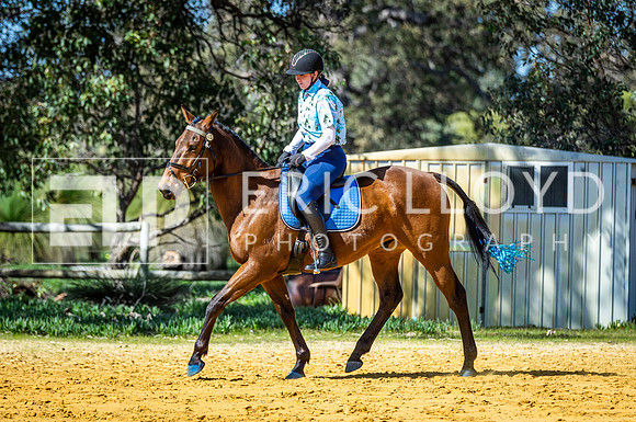 Big Britches-5515