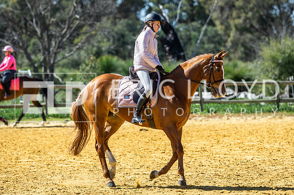 Big Britches-5592