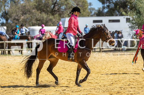 Big Britches-5617