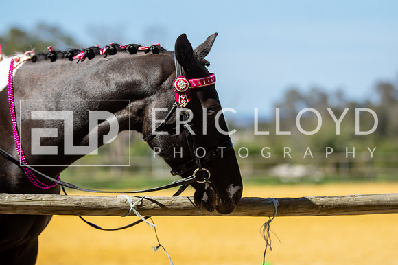 Big Britches-6449