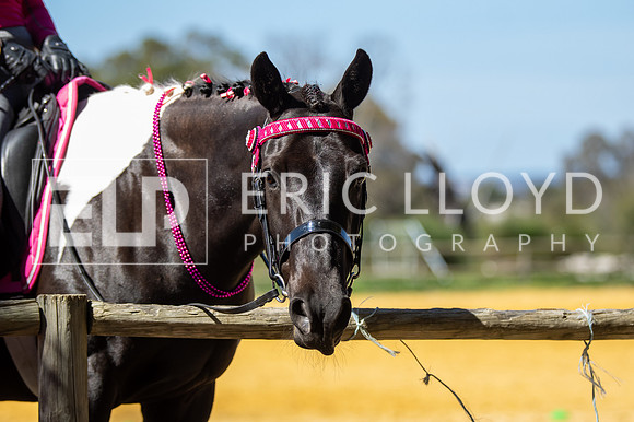Big Britches-6451