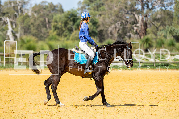 Big Britches-6462