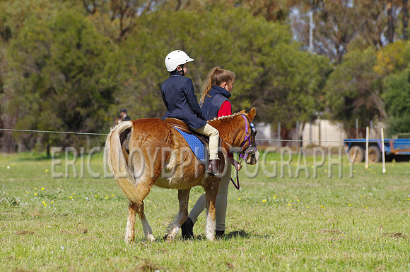 Bev Ag 2014-5161