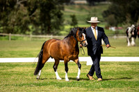 Equissage Equestrian Festival 2020