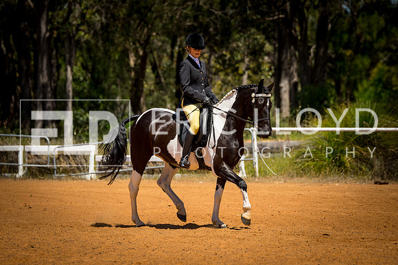 untitled-0387