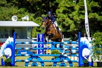 13. Hygain Feeds Patrons Cup Camera #2