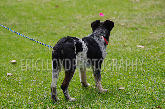 Jess-4070