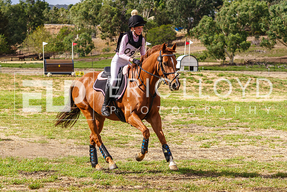 IMGP8084