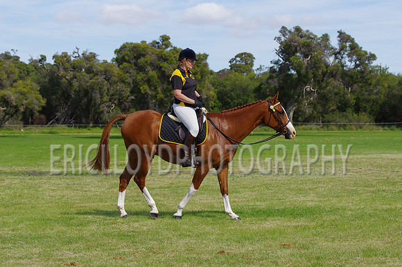 ARCA WH 2014-6576