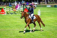 8A. Kohnke's Own Open 1.10-1.15m AM2 &  8B. CTCE Arenas 1.10-1.15m JWA Bronze Series AM5