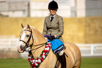 Grand Champion Ridden