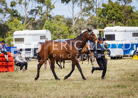 ERIC2561