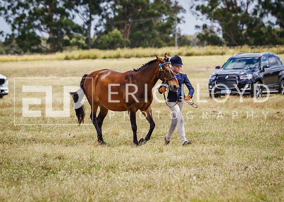 ERIC2566