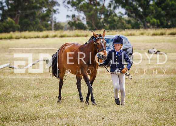 ERIC2568