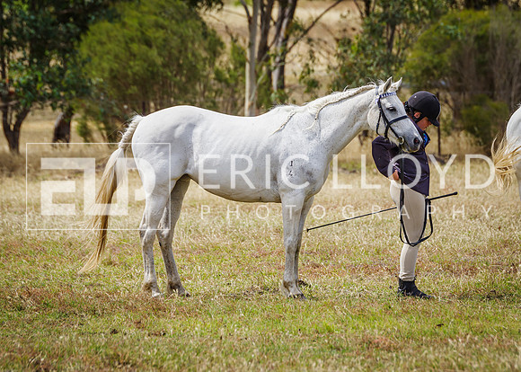 ERIC2575