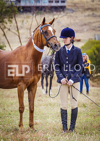 ERIC2633
