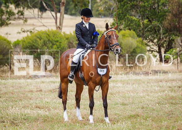 ERIC3675