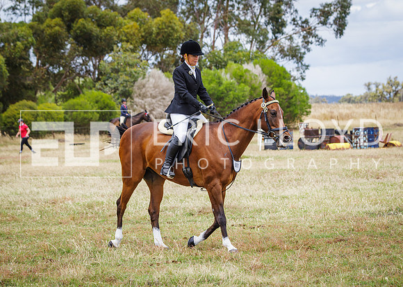 ERIC3712