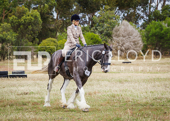 ERIC3718