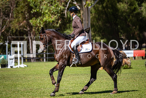 IMGP0011