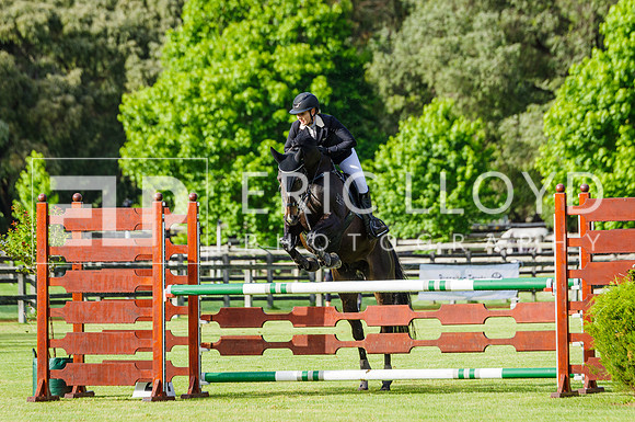 ERIC1431
