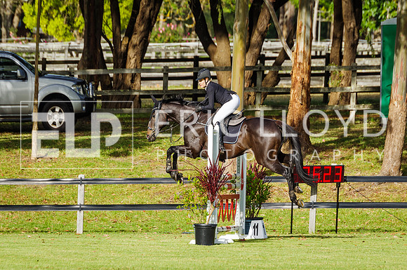 ERIC1441