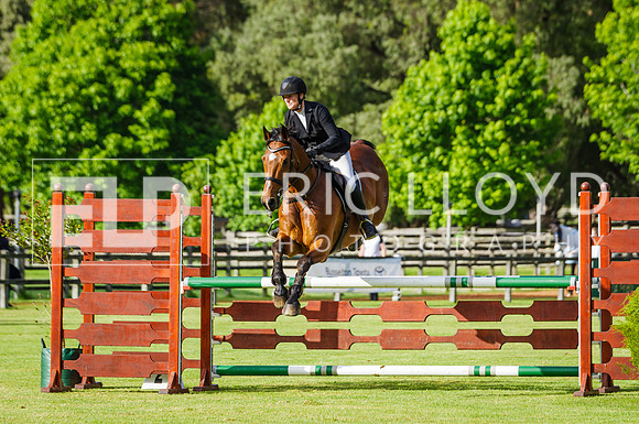 ERIC1446