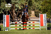 22B. Off The Track 90cm $10