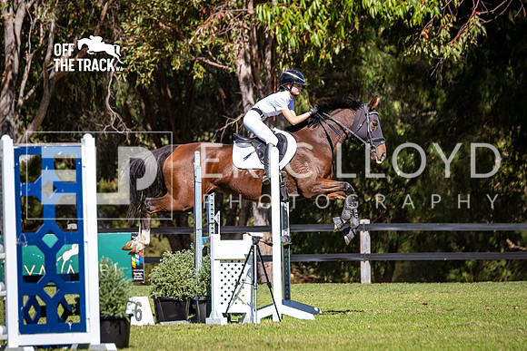 IMGP0664