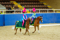SAT - Pas de Deux Ponies (14.2h & under)