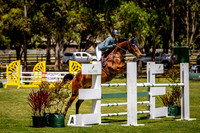ROYL6150