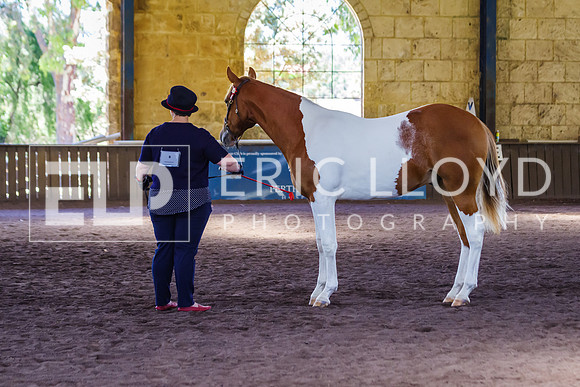 ELP_0933