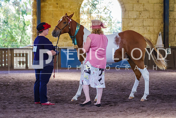ELP_0937