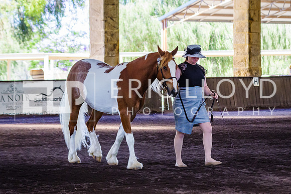 ELP_0945