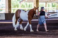 ELP_0946