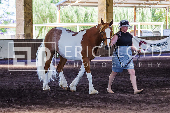ELP_0946