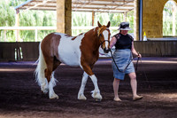 ELP_0947